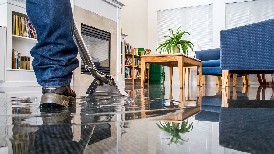 Restoring Healthy Homes