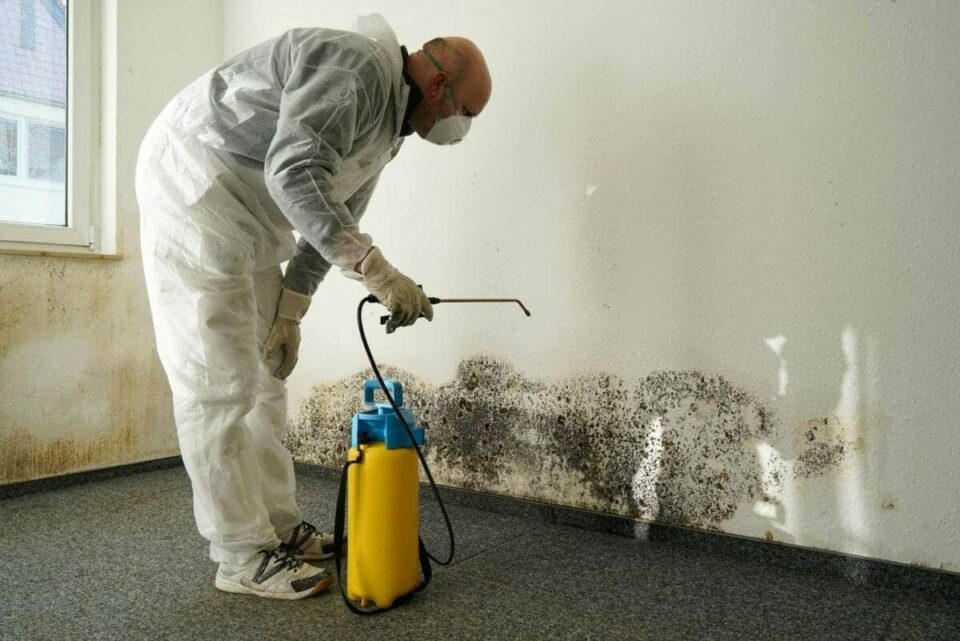 Remediating Black Mold